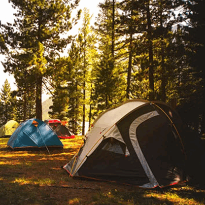 Telting i skogen – slik får du en god opplevelse